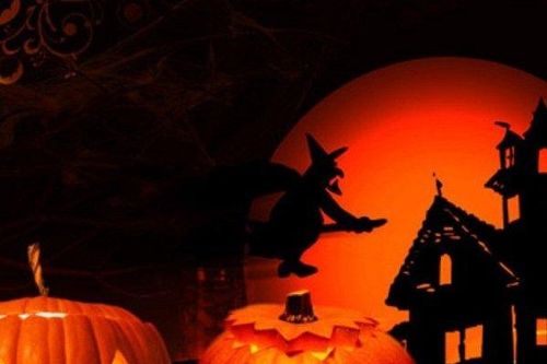 Tại sao lễ hội Halloween lại gắn liền với hình ảnh quả bí ngô?