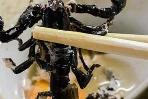 Canh bọ cạp nguyên con, món ăn khiến nhiều thực khách toát mồ hôi hột