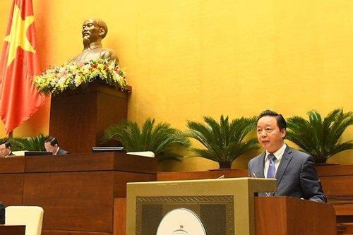 10 năm tới dự kiến giảm gần 350.000 ha đất trồng lúa