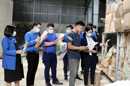 Đoàn viên thanh niên được tập huấn triển khai chương trình OCOP