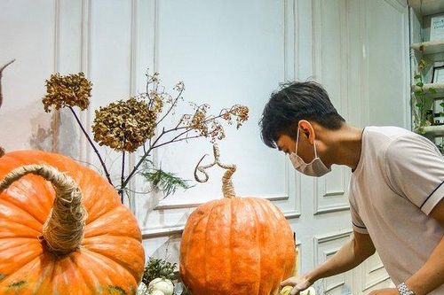 Bí ngô 'khổng lồ' giá chục triệu đồng được săn đón dịp Halloween