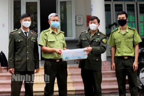 Vườn Quốc gia Cúc Phương tiếp nhận 6 cá thể động vật hoang dã quý hiếm
