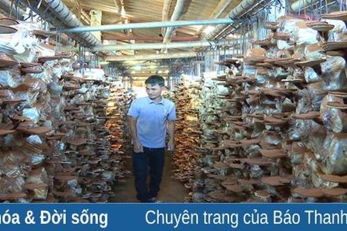 Mô hình trồng nấm linh chi mang lại hiệu quả kinh tế cao tại Quảng Xương