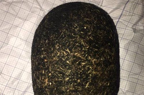 Phát hiện vật thể lạ trong dạ dày lợn