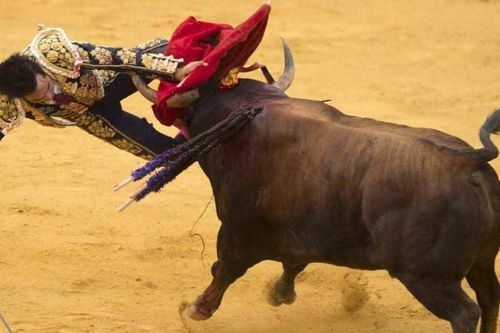 Người đàn ông bị bò húc chết trong lễ hội ở Tây Ban Nha
