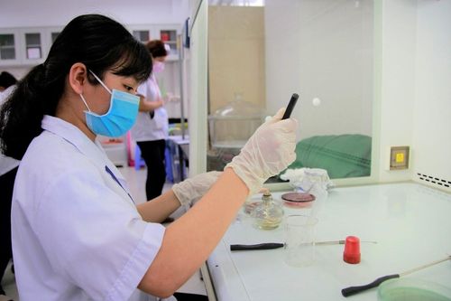 Sinh viên TP.HCM đến trường làm luận văn, học thực hành