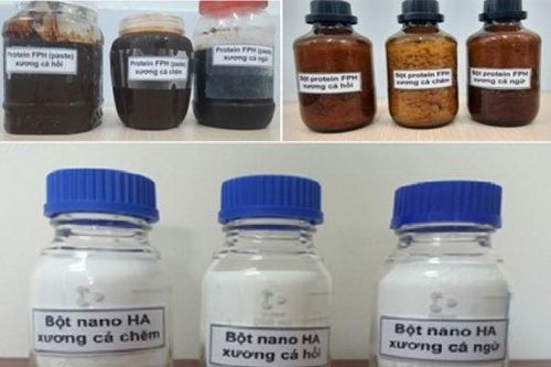 Thu hồi protein từ phụ phẩm xương cá