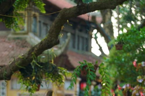 Mê mẩn trước vẻ đẹp của MC Thời sự Thu Hà