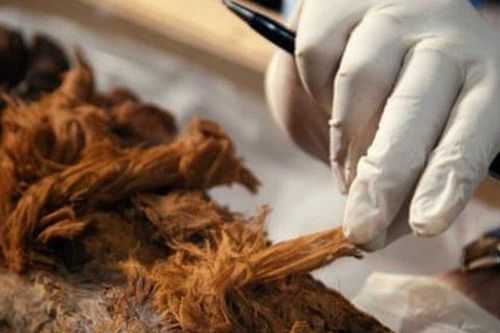 Xác ướp Ai Cập gần 4.000 tuổi khiến sử sách có thể phải viết lại