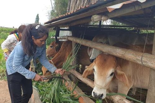 Giảm nghèo bền vững vẫn là mục tiêu hàng đầu