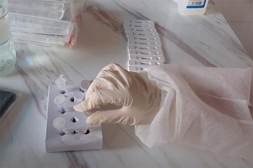 Từ 7 giờ đến 17 giờ ngày 1-11, Khánh Hòa ghi nhận thêm 15 ca dương tính với SARS-CoV-2