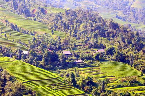 Khát vọng trên núi Láo Vàng