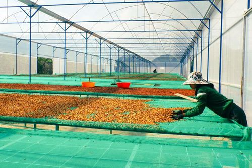 Khai mạc trại sáng tác văn học nghệ thuật ''Lâm Đồng - Tiềm năng, thế mạnh, đổi mới, phát triển bền vững thời đại 4.0''