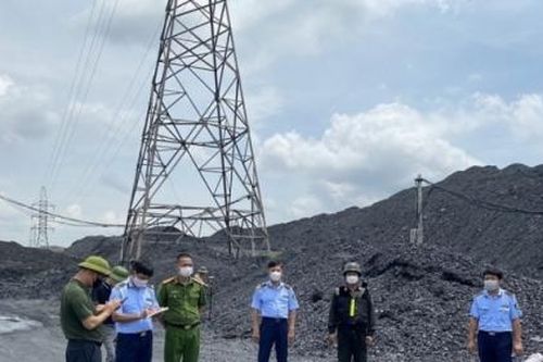 Hải Dương: Thu giữ hàng chục nghìn tấn than không rõ nguồn gốc