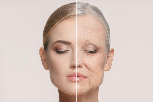 Tìm ra cách có thể chống lại quá trình lão hóa