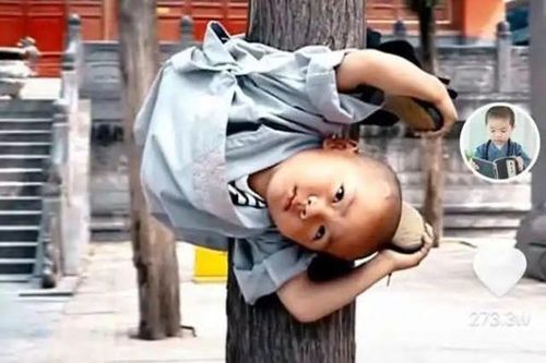 Tiểu hòa thượng Thiếu Lâm Tự gây chú ý