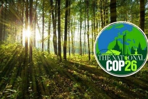 Thượng đỉnh COP26: Hơn 100 nhà lãnh đạo thế giới cam kết bảo vệ 'lá phổi của hành tinh'