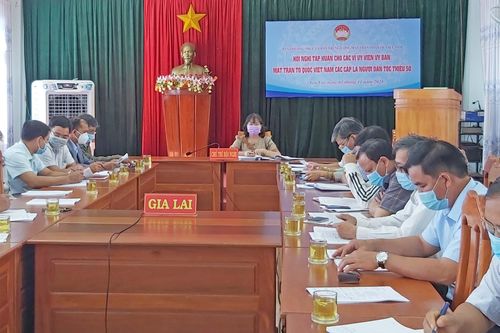 Bồi dưỡng kiến thức, kỹ năng cho Ủy viên Ủy ban MTTQ Việt Nam