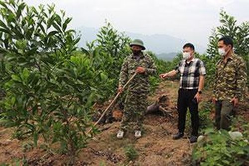 Phát triển rừng gỗ lớn: Còn nhiều khó khănTin khácLập thành tích chào mừng kỷ niệm 190 năm thành lập tỉnh: Điểm nhấn từ phong trào thi đua đặc biệtXét tặng danh hiệu 'Công dân Lạng Sơn ưu tú': Tôn vinh những tấm gương điển hình