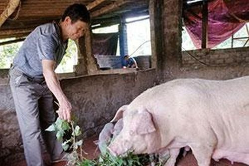 Cựu thanh niên xung phong vượt khó làm giàuTin khácLập thành tích chào mừng kỷ niệm 190 năm thành lập tỉnh: Điểm nhấn từ phong trào thi đua đặc biệtXét tặng danh hiệu 'Công dân Lạng Sơn ưu tú': Tôn vinh những tấm gương điển hình