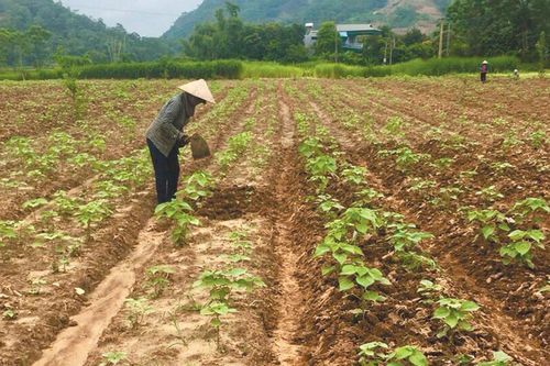 Lan tỏa các phong trào thi đua của phụ nữ
