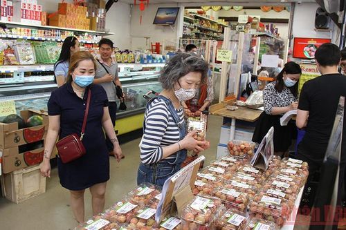 Thúc đẩy các dự án hợp tác mới giữa Việt Nam và Pháp