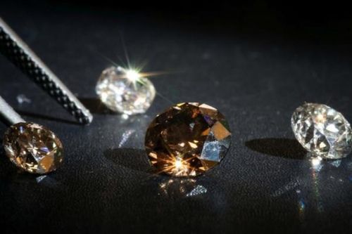 Nạn nhân mới nhất của cuộc khủng hoảng năng lượng ở Trung Quốc