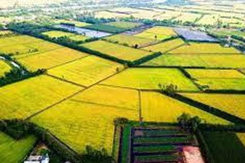 Muốn huy động phát triển ĐBSCL thì phải có quy hoạch