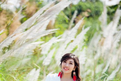 Cánh đồng cỏ lau đẹp nên thơ quên lối về dưới chân cầu Long Biên