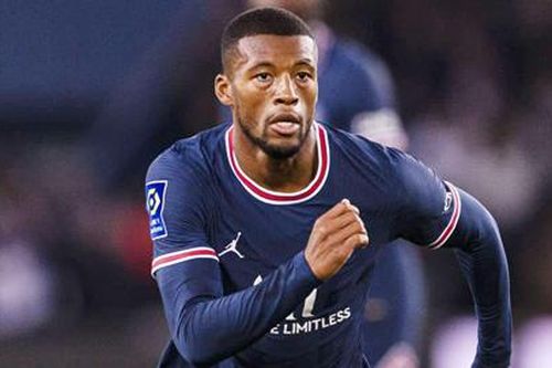 Wijnaldum chê PSG của Pochettino thiếu bản sắc so với Liverpool của Klopp
