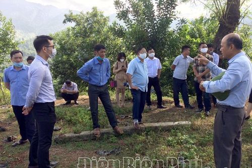 Khó khăn trong thành lập hợp tác xã mắc ca