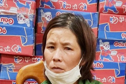 Hóa trang 'đồng nát' gây hàng loạt vụ trộm cắp