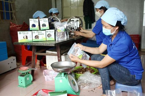 Di Linh: Phát huy tiềm năng, lợi thế, đẩy mạnh thu hút đầu tư