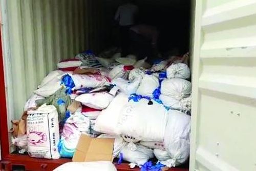 Khởi tố vụ án buôn lậu hơn 12 tấn găng tay cao su đã sử dụng