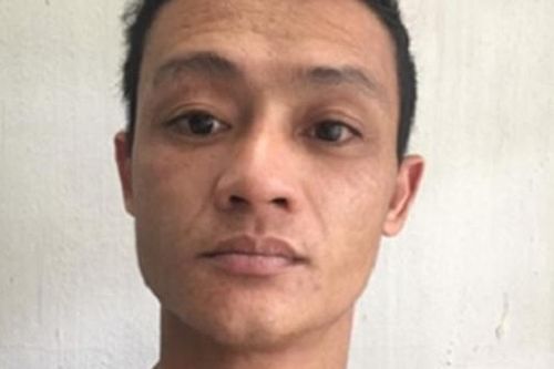 Đóng giả nông dân trồng hoa để bán ma túy