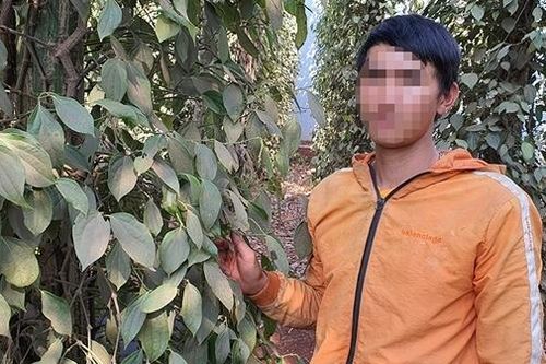 Bỗng dưng thành… giám đốc