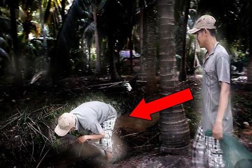 Nghe tiếng vọng từ trong rừng dừa, hai người đàn ông vào đó kiểm tra và kết quả khó tin