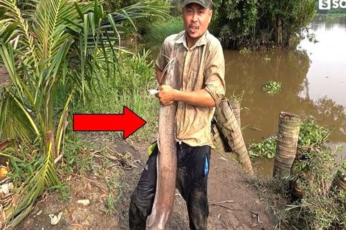 Bắt được cá to, người đàn ông lao mình xuống nước vật lộn: Có thể mất mạng vì thiếu hiểu biết!