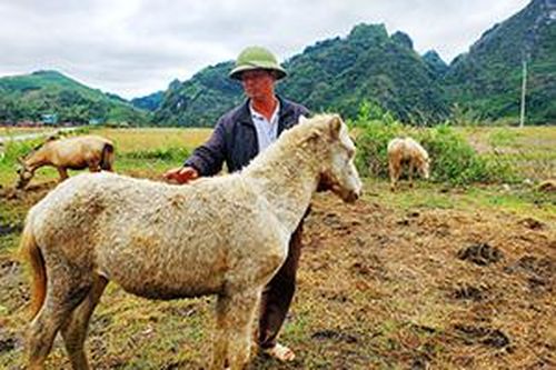 Hữu Liên: Triển vọng từ phát triển mô hình chăn nuôi ngưạTin khácPhát huy truyền thống đoàn kết, quyết tâm xây dựng tỉnh Lạng Sơn phát triển nhanh, bền vữngLập thành tích chào mừng kỷ niệm 190 năm thành lập tỉnh: Điểm nhấn từ phong trào thi đua đặc biệt