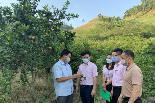 Động lực phát triển ở các xã nghèo
