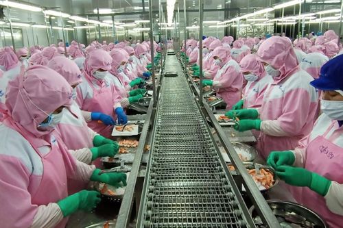 Doanh nghiệp miền Tây tuyển lao động, chấp nhận chi phí sàng lọc F0