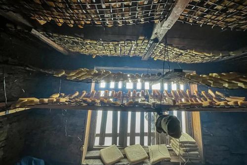 Loại phô mai để 20 năm không hỏng