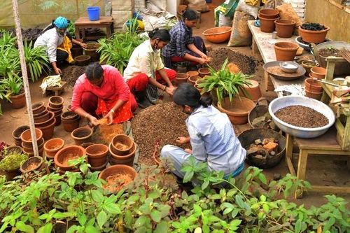Nhóm phụ nữ bảo vệ rừng cây 'tị nạn' ở Ấn Độ