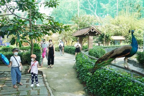 Người dân háo hức đến Thảo cầm viên Sài Gòn trong ngày đầu mở cửa trở lại