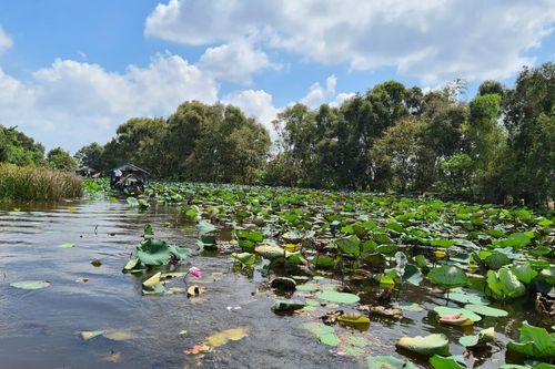 TP Hồ Chí Minh liên kết với Đồng Tháp phát triển du lịch an toàn, hấp dẫn