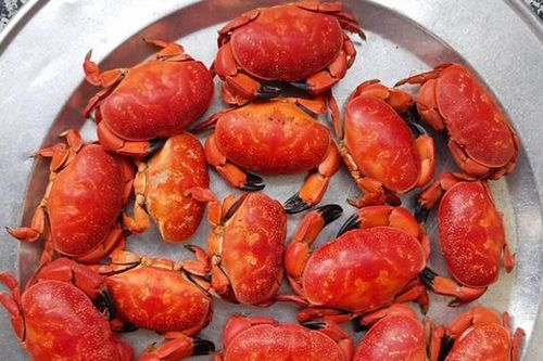 Cù kỳ giá chỉ bằng 1/10 cua hoàng đế, đắt hàng trên chợ mạng