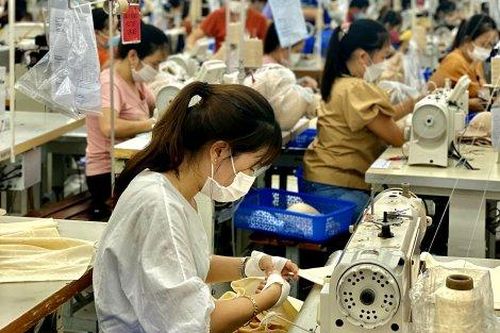Kinh tế Kinh tế Phục hồi và phát triển kinh tế trong điều kiện thích ứng an toàn
