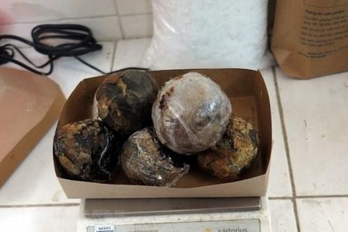 Nam Định: Bắt 2 đối tượng, thu giữ số lượng ma túy lớn