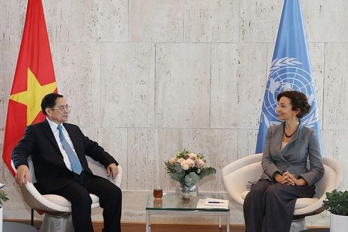 Thúc đẩy đưa quan hệ đối tác Việt Nam-UNESCO lên tầm cao mới