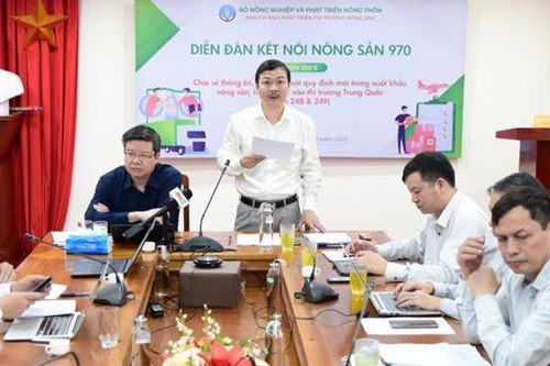 Hoàn thiện các thủ tục để tránh gián đoạn xuất khẩu nông sản sang Trung Quốc